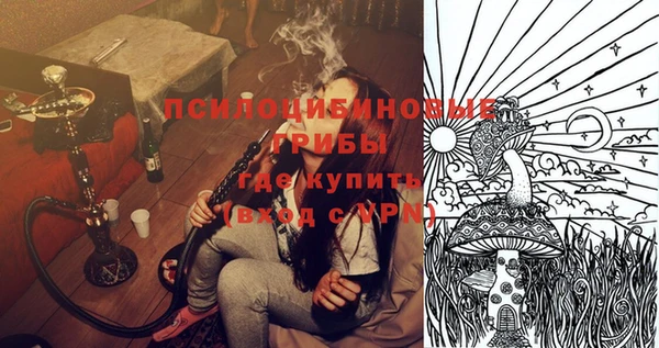 мяу мяу кристалл Арсеньев