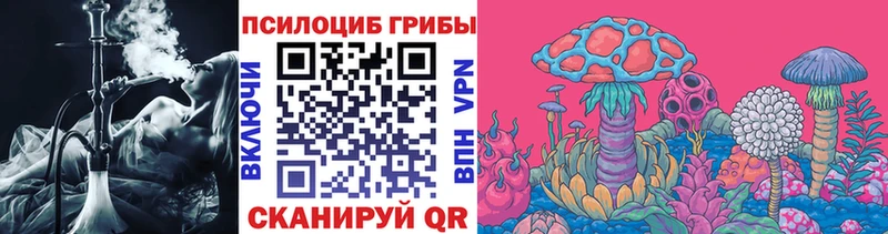 Псилоцибиновые грибы Psilocybine cubensis  Тюкалинск 